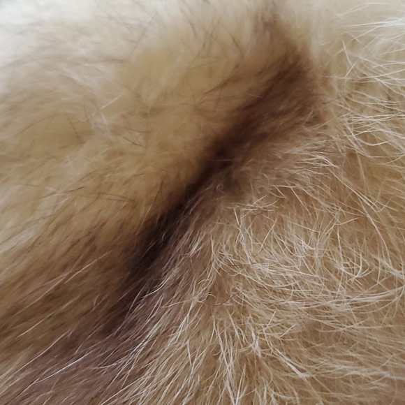 Vintage fur collar fox or coyote - Picture 10 of 10